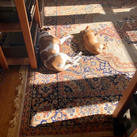 Meet your Posher, Jessica - Picture 3 of 4